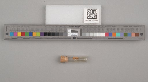 NSF ADBC EPICC TCN