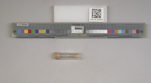 NSF ADBC EPICC TCN