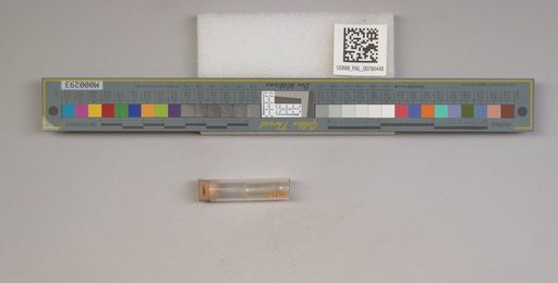 NSF ADBC EPICC TCN