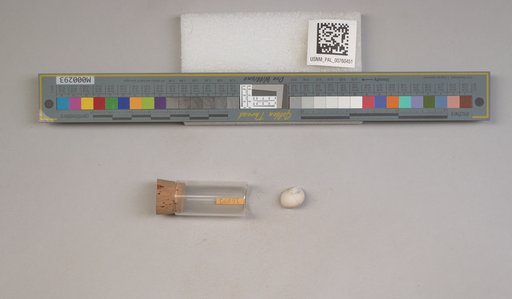 NSF ADBC EPICC TCN