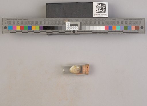 NSF ADBC EPICC TCN