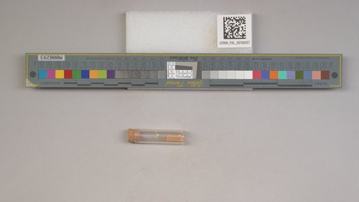 NSF ADBC EPICC TCN