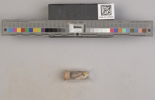 NSF ADBC EPICC TCN