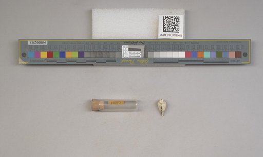 NSF ADBC EPICC TCN