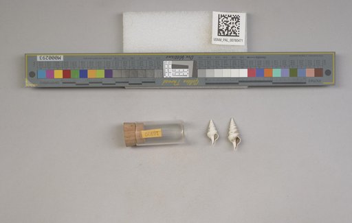 NSF ADBC EPICC TCN