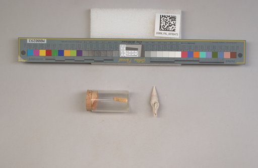 NSF ADBC EPICC TCN