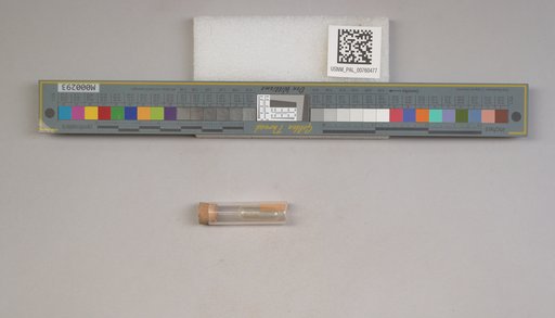 NSF ADBC EPICC TCN