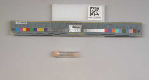 NSF ADBC EPICC TCN