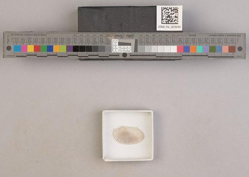 NSF ADBC EPICC TCN