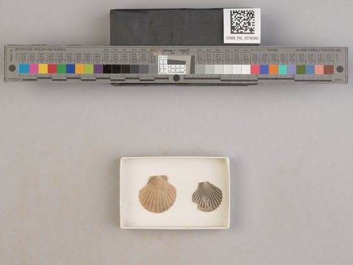 NSF ADBC EPICC TCN