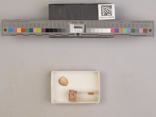 NSF ADBC EPICC TCN