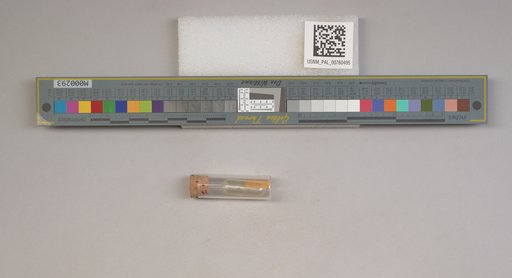 NSF ADBC EPICC TCN