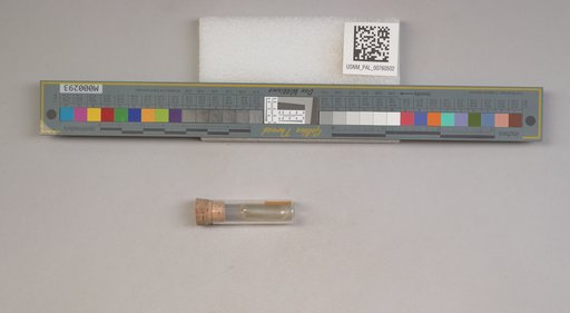 NSF ADBC EPICC TCN