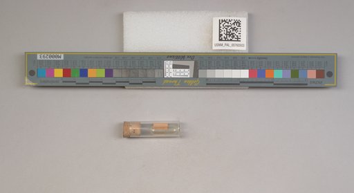 NSF ADBC EPICC TCN