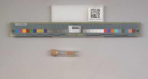 NSF ADBC EPICC TCN