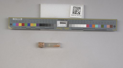 NSF ADBC EPICC TCN