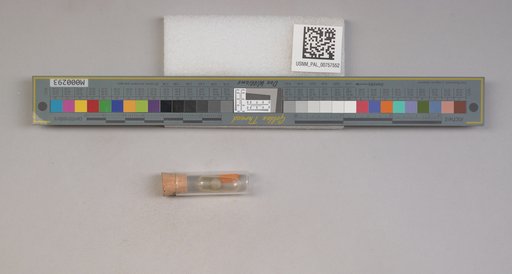 NSF ADBC EPICC TCN