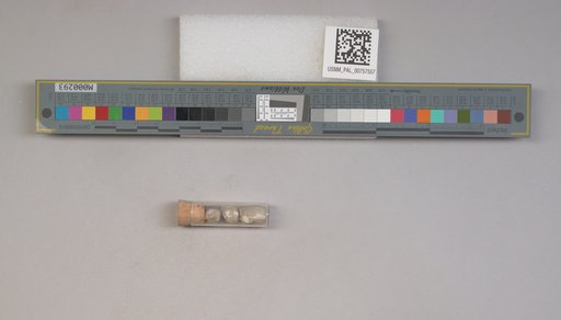 NSF ADBC EPICC TCN