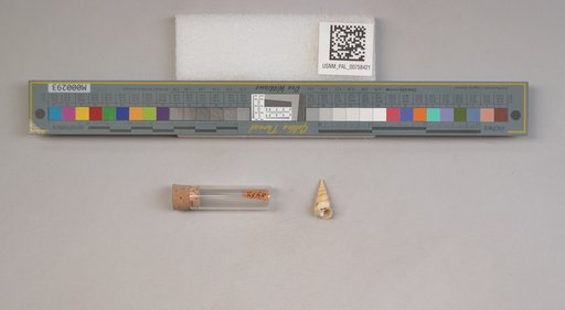 NSF ADBC EPICC TCN