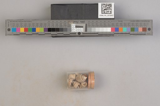NSF ADBC EPICC TCN