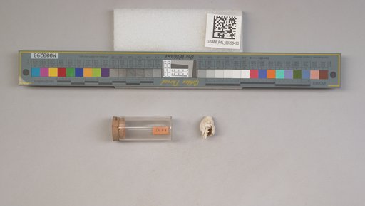 NSF ADBC EPICC TCN
