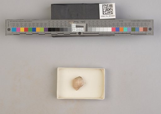 NSF ADBC EPICC TCN