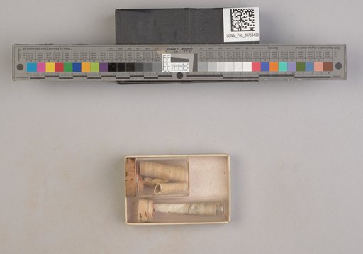 NSF ADBC EPICC TCN