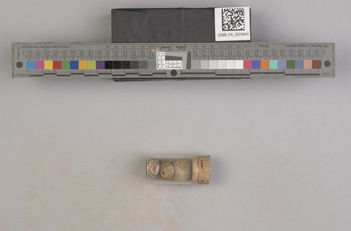 NSF ADBC EPICC TCN
