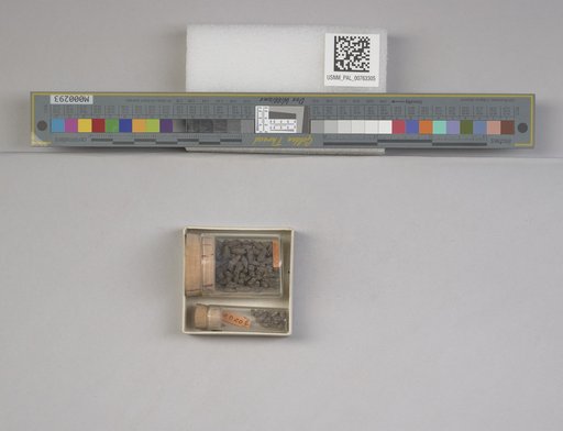 NSF ADBC EPICC TCN