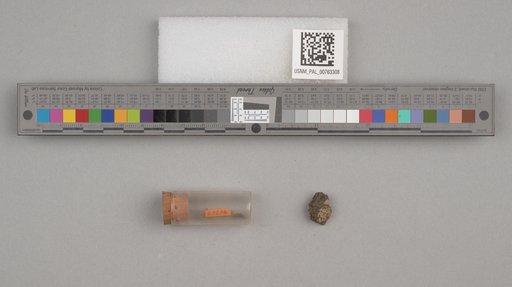 NSF ADBC EPICC TCN
