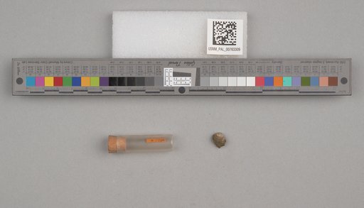 NSF ADBC EPICC TCN