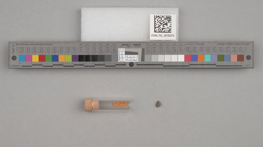 NSF ADBC EPICC TCN