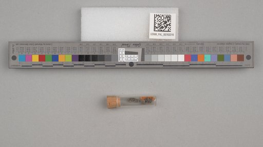 NSF ADBC EPICC TCN