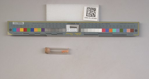 NSF ADBC EPICC TCN