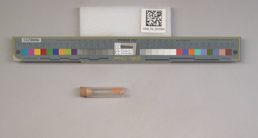NSF ADBC EPICC TCN