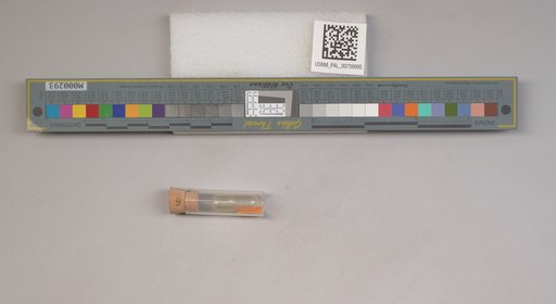 NSF ADBC EPICC TCN