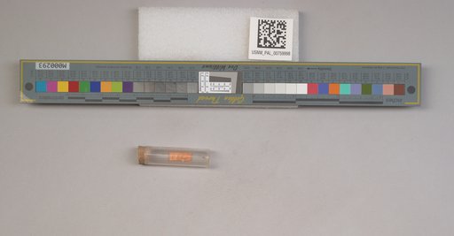 NSF ADBC EPICC TCN