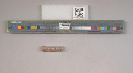 NSF ADBC EPICC TCN