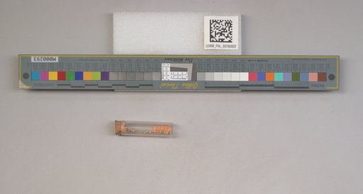 NSF ADBC EPICC TCN