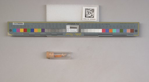 NSF ADBC EPICC TCN
