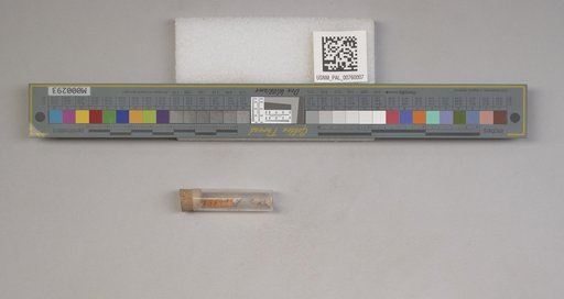 NSF ADBC EPICC TCN