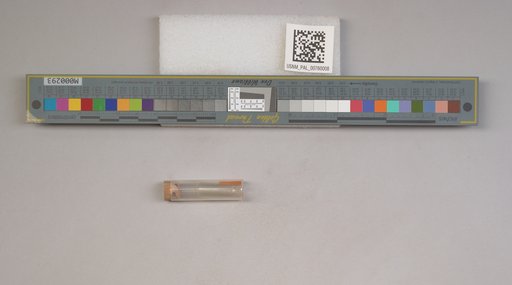 NSF ADBC EPICC TCN