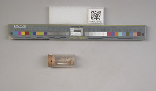 NSF ADBC EPICC TCN