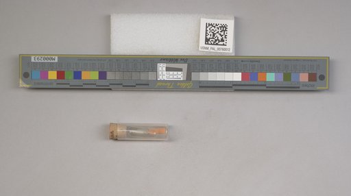 NSF ADBC EPICC TCN