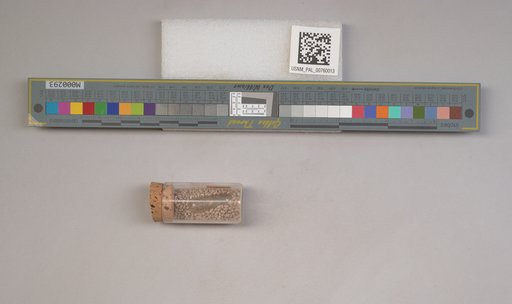 NSF ADBC EPICC TCN