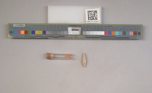 NSF ADBC EPICC TCN