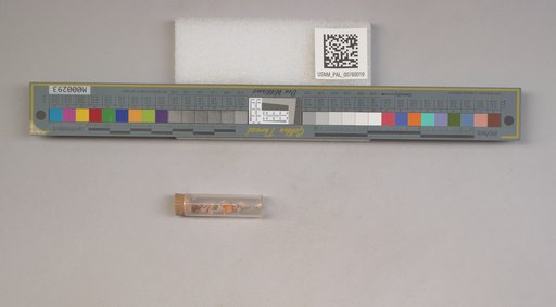 NSF ADBC EPICC TCN