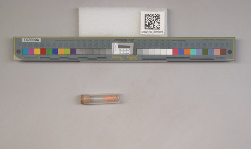 NSF ADBC EPICC TCN
