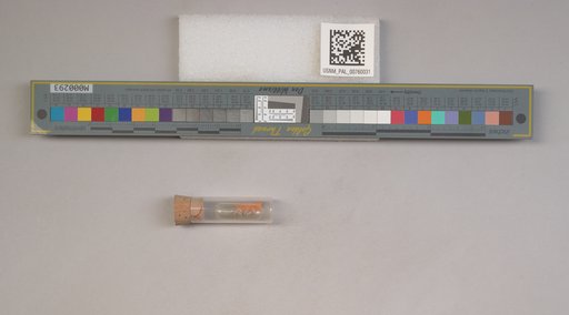 NSF ADBC EPICC TCN