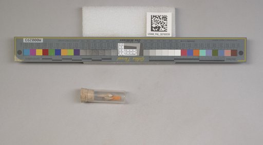 NSF ADBC EPICC TCN